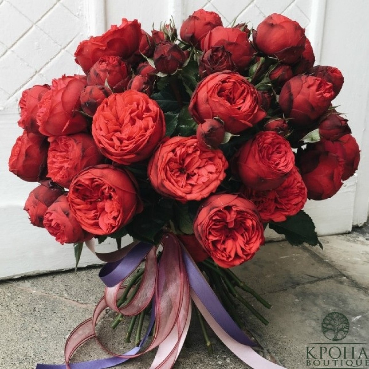 Пионовидные Розы Фото